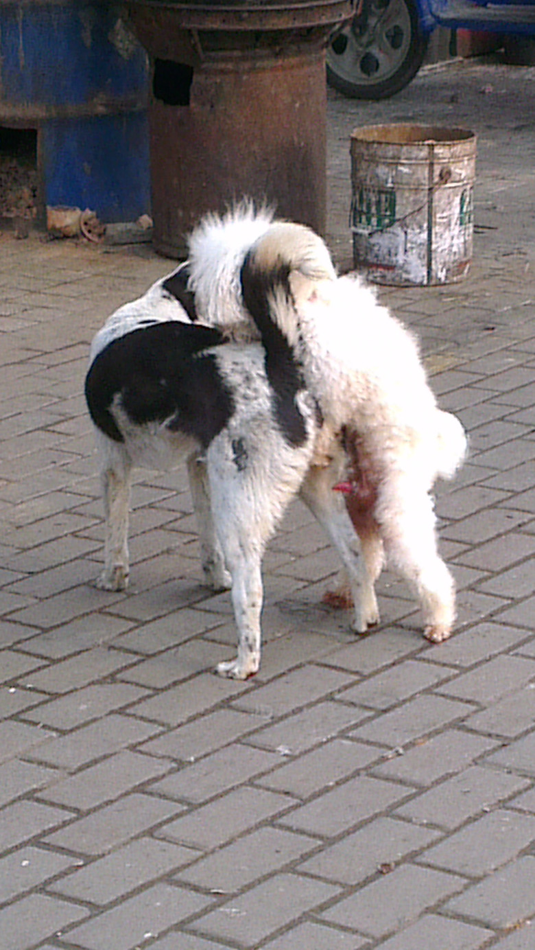 光天化日之下撒流氓,元方你怎么看?-现场直播-讲空头-嘉兴19楼