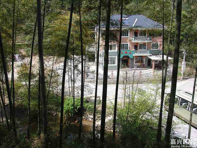 嘉兴周边自驾一日游求推荐-旅游拉风-嘉兴19楼