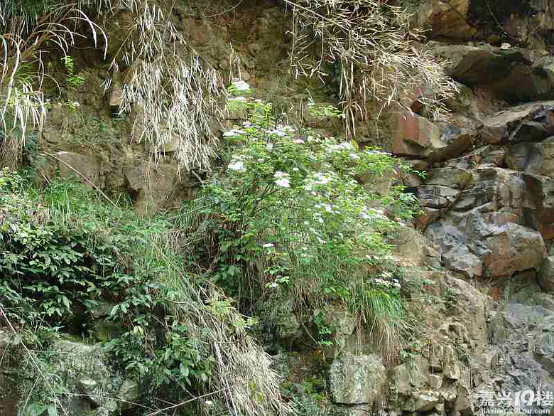 嘉兴周边自驾一日游求推荐-旅游拉风-嘉兴19楼
