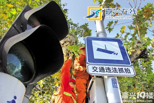 12月2日起抓拍12类交通违法行为 55个动态抓