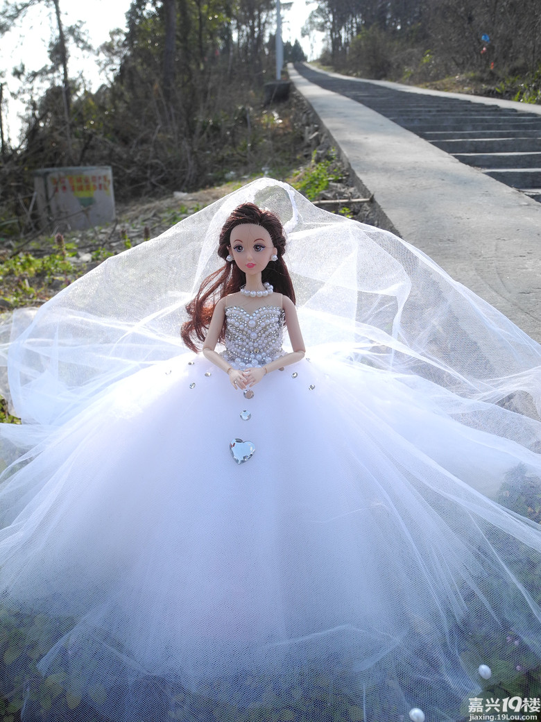 DIY 穿婚纱的芭比娃娃 分享成果啦-其他-结婚交
