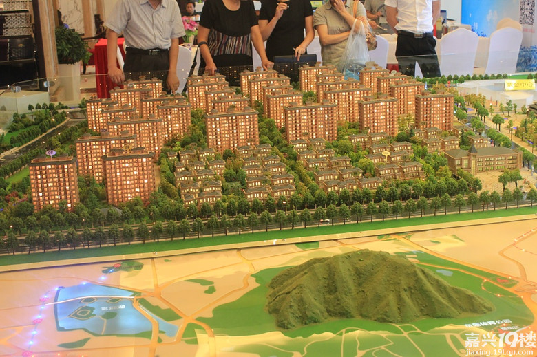 【佳源·优优花园特刊】稀缺多层电梯洋房 微