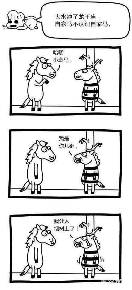 这才叫大水冲了龙王庙!-求助-南湖水苑-嘉兴19楼