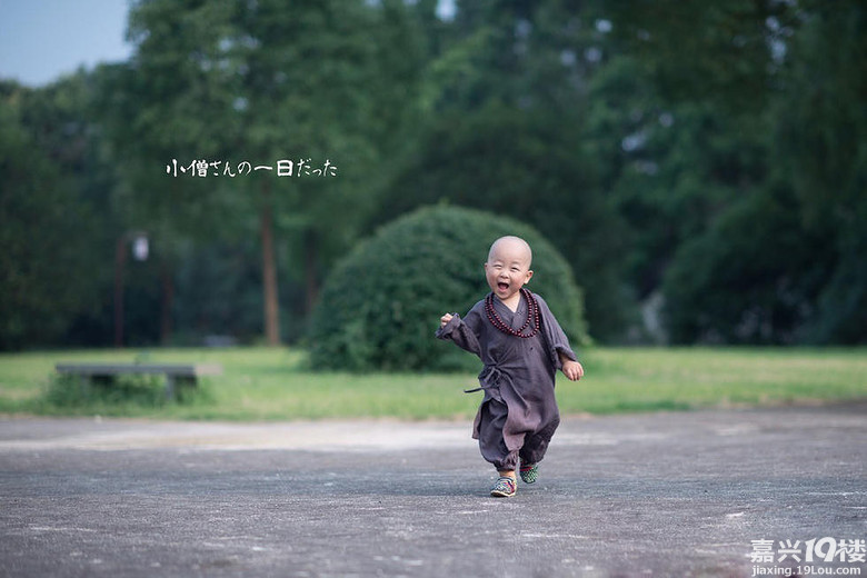 嘉兴小和尚二蛋走红网络 憨萌俘获整条街-