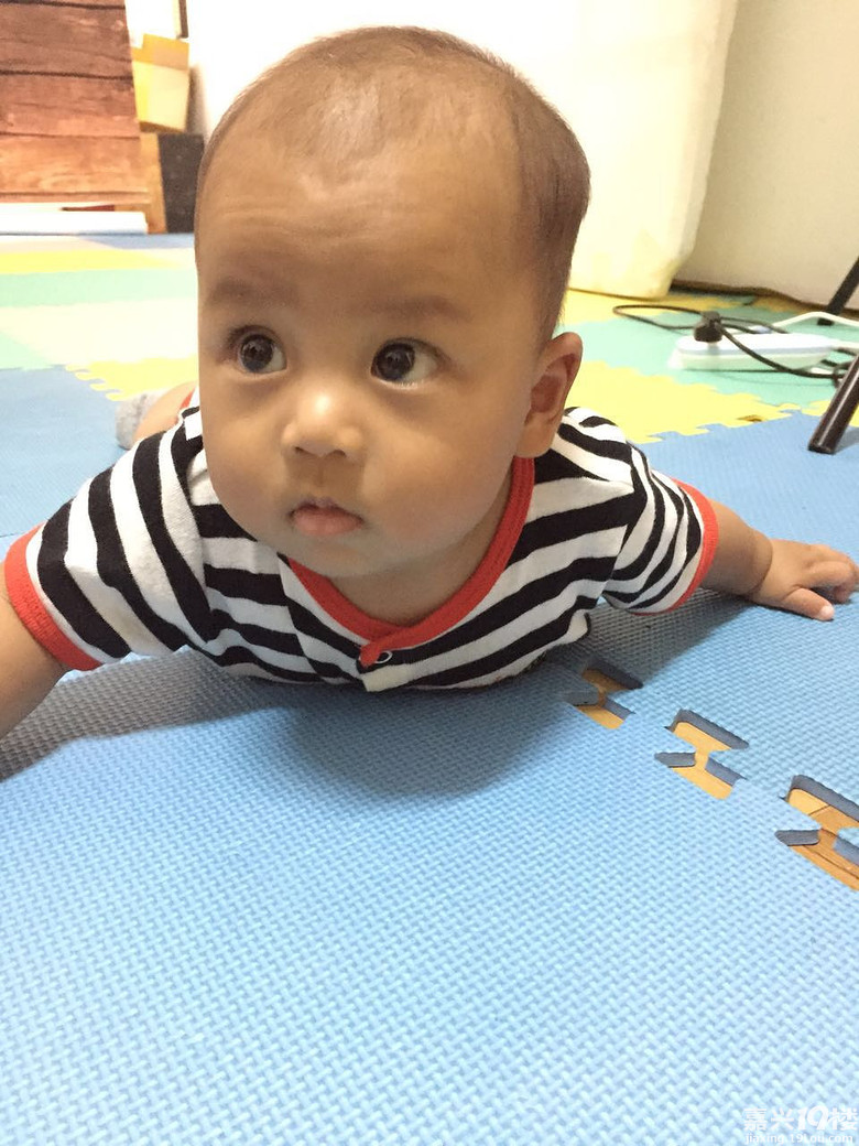 【2016台历宝宝】1575号王小萌来报到啦-0-2