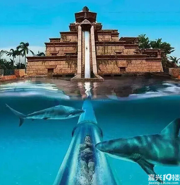 蜜月上最世界的性感免签啦赶快去性感吧,99%沙滩韩头黑白图片