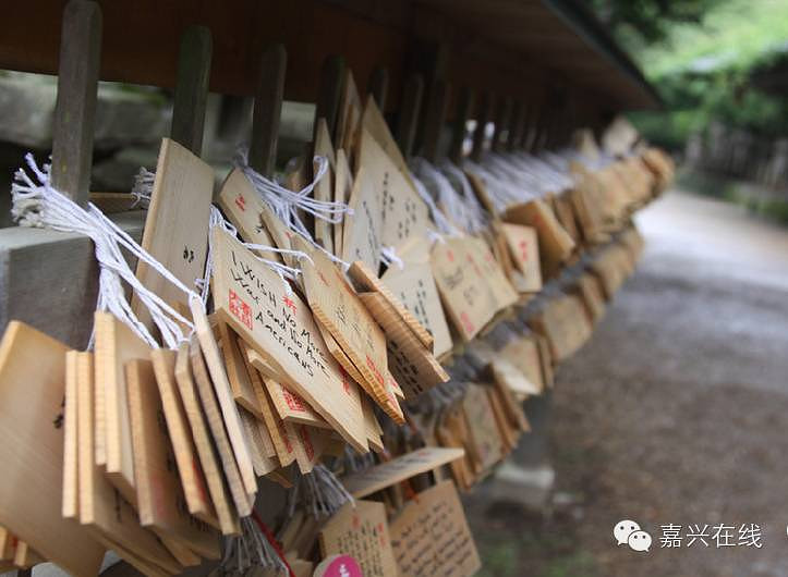 签证又出新政,削低门槛喊你来-求助-南湖水苑