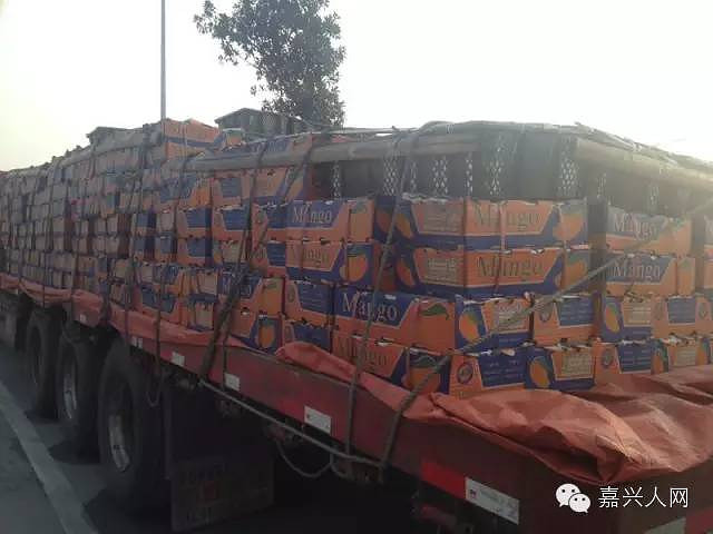 海南运来上百万的芒果 嘉兴水果市场不收-求助