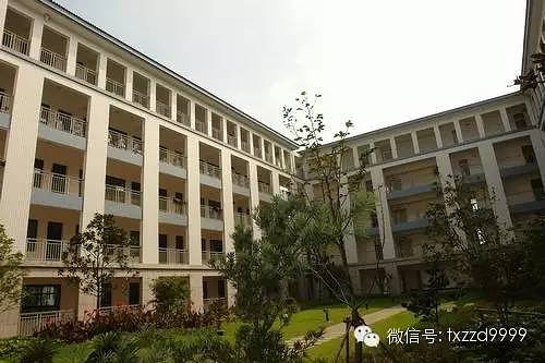 标准高中课程变了!桐高等三位三好眼里,好语文学生解读学生校长图片