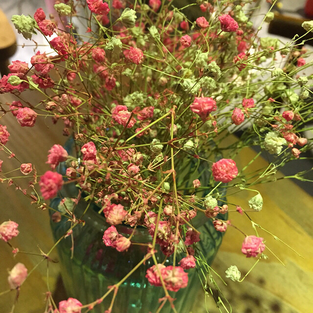 ���ȵ�����治��