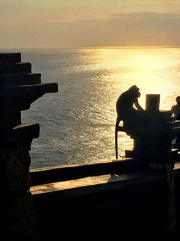 ӡ������