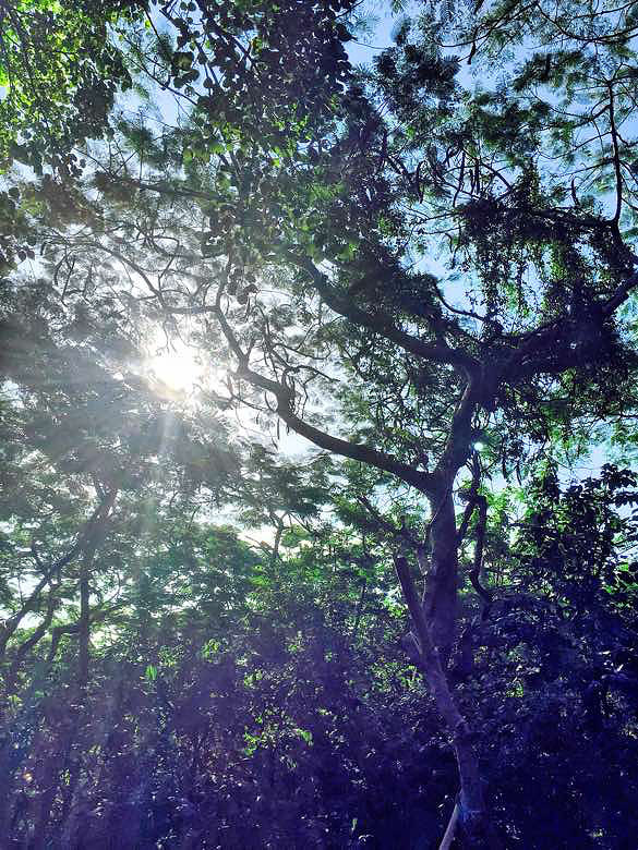 ӡ������