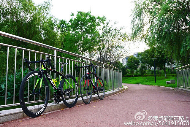 �������蹫��