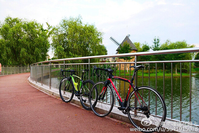 �������蹫��