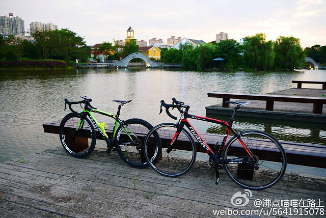 �������蹫��