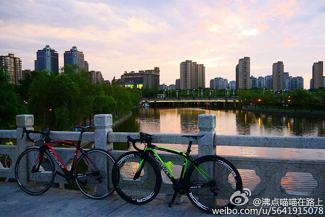 �������蹫��