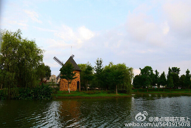 �������蹫��