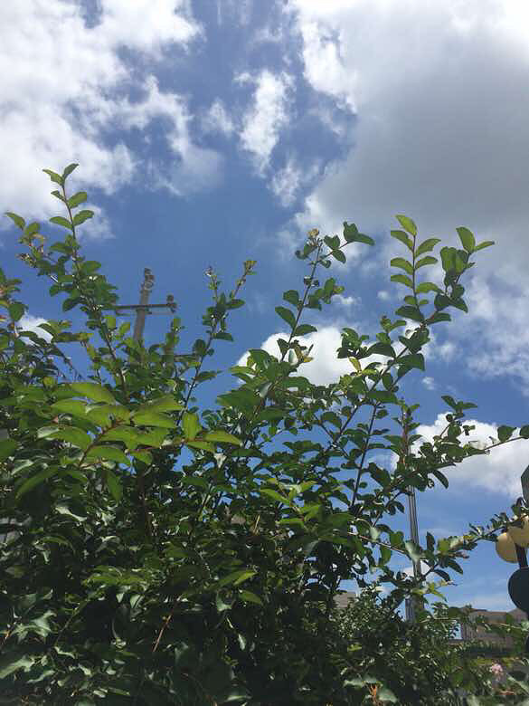 ��װ�ڶȼ�...