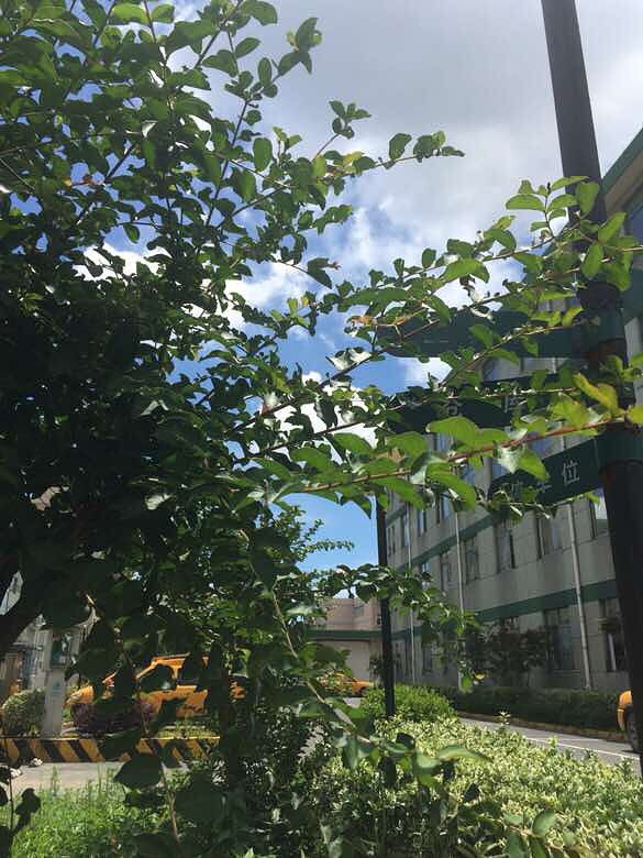 ��װ�ڶȼ�...