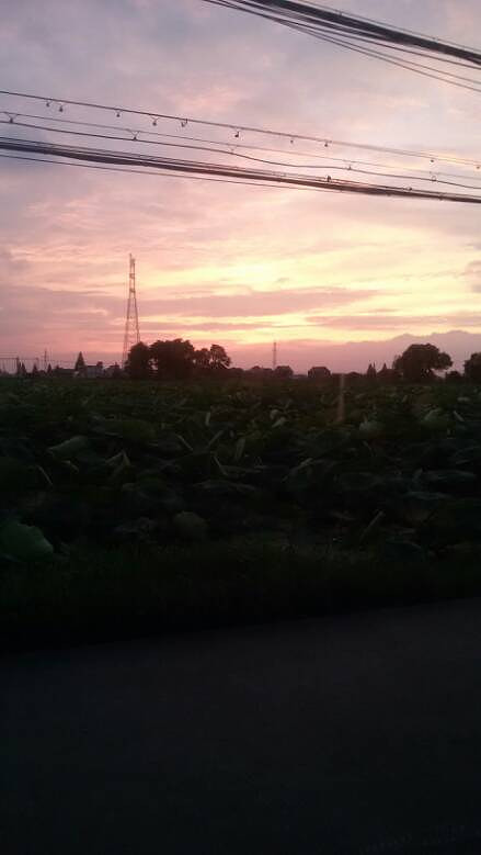 �������ϼ�ܸܵ�