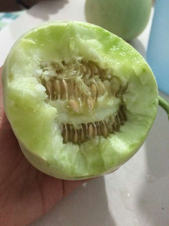 ����ĺó�̫����