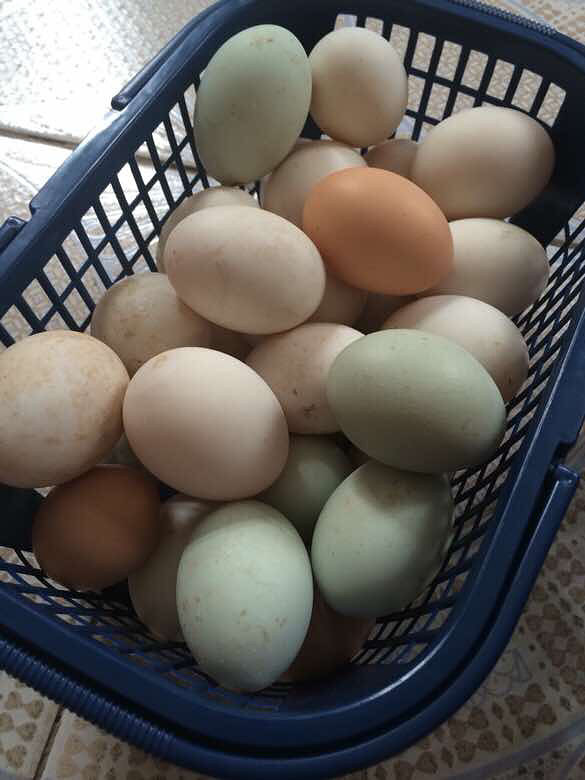 ����ĺó�̫����