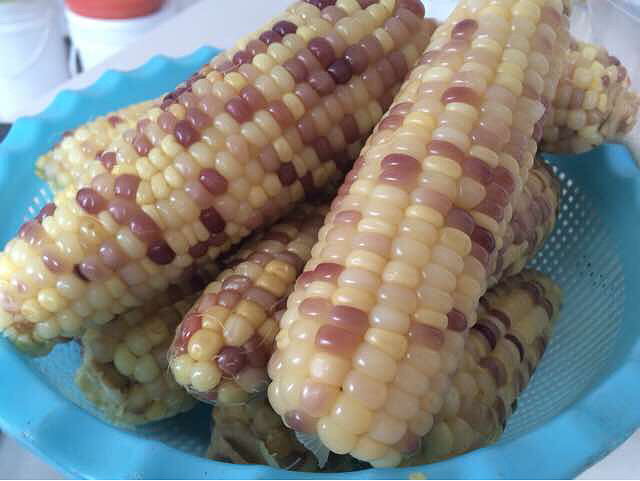 ����ĺó�̫����