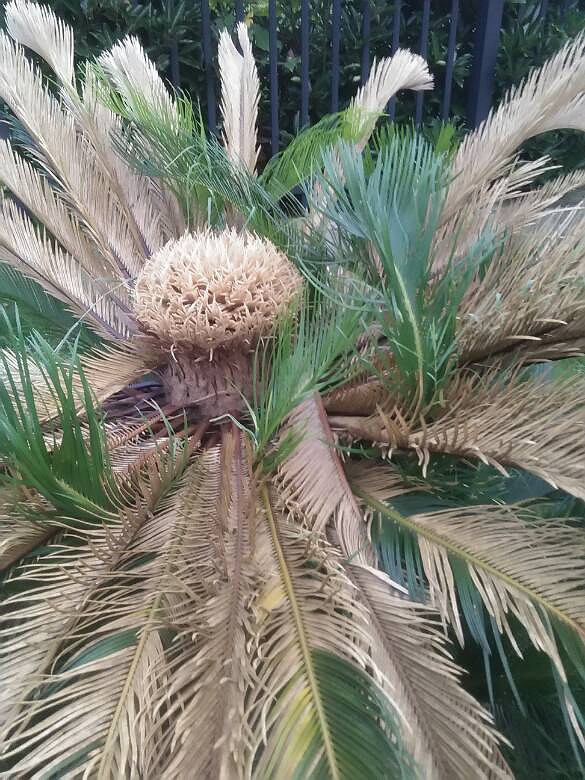 ��������