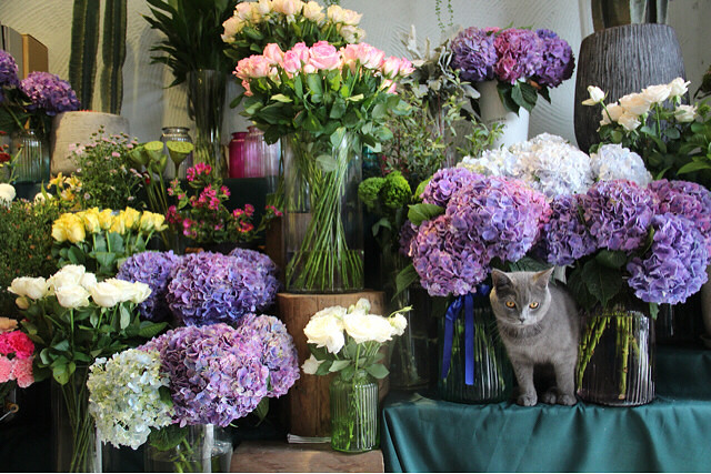 ���ϰ��Ӳ���һ��˵������ֻ���ò�����ƿ��