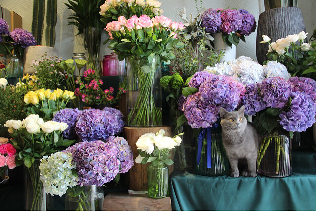 ���ϰ��Ӳ���һ��˵������ֻ���ò�����ƿ��