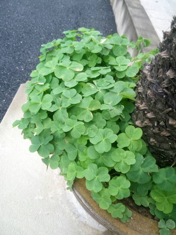 С�ݣ���˵������д��������������ǵ�����