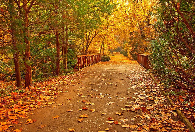 �쳾������-���������