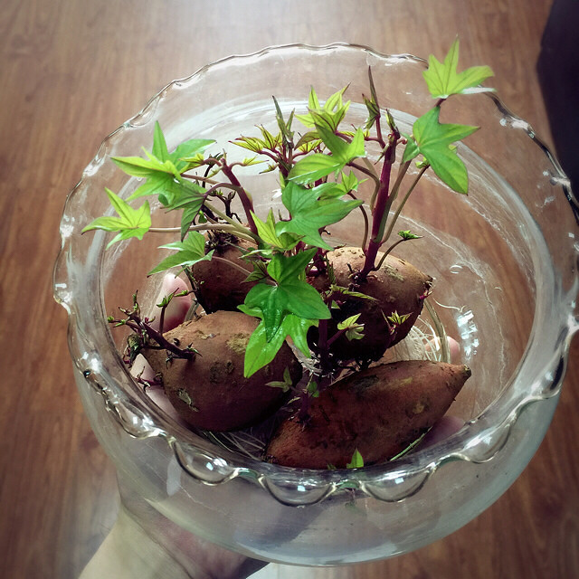 ��ι�����������ǵعϣ�����о��Լ�ͻȻ