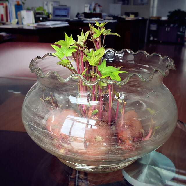 ��ι�����������ǵعϣ�����о��Լ�ͻȻ