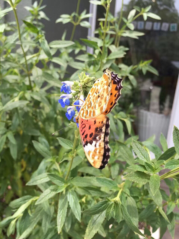 ��������