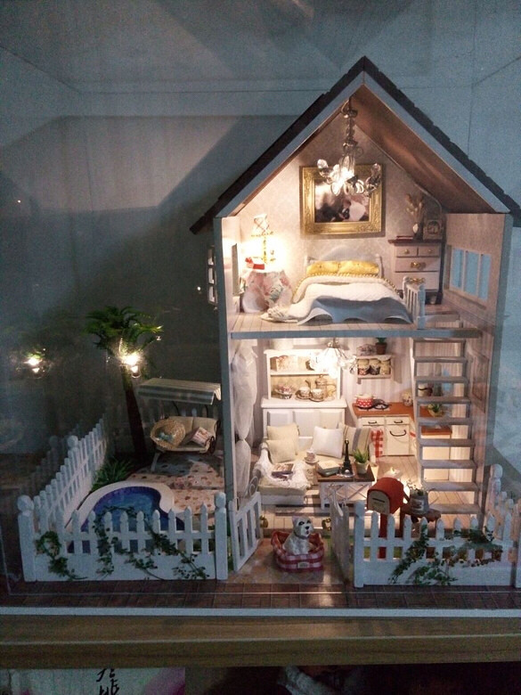 ��֪��������������������Ķ���