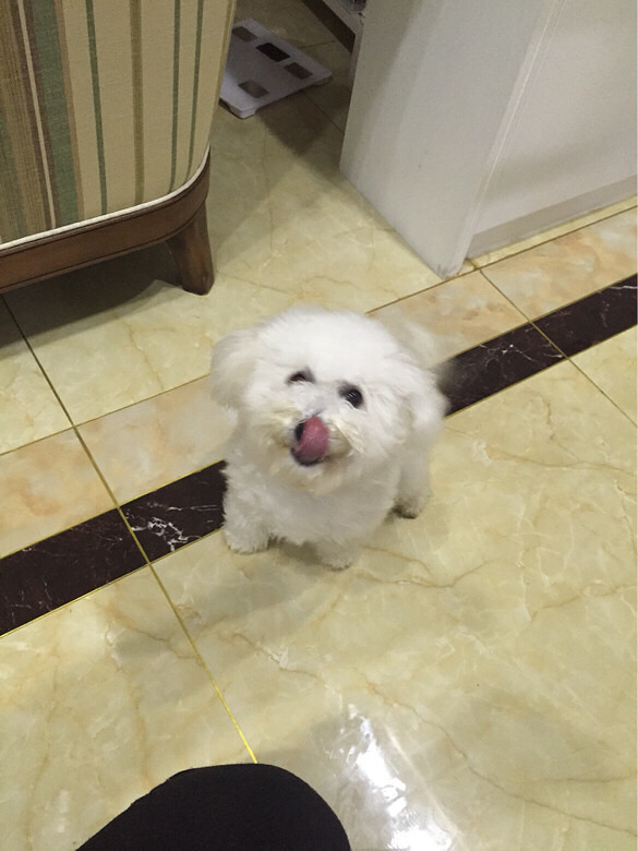 �ҵ�Ҫ�󲢲��ߣ�2��������ȯ�Ϳ��ԣ�