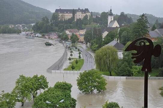 �¹��ķ���ǽ���ְ尡�����ٿ�����Ϥ������