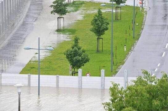 �¹��ķ���ǽ���ְ尡�����ٿ�����Ϥ������