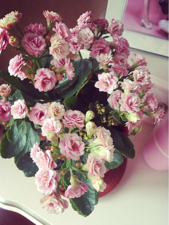 ��˵�и��������������ˣ�