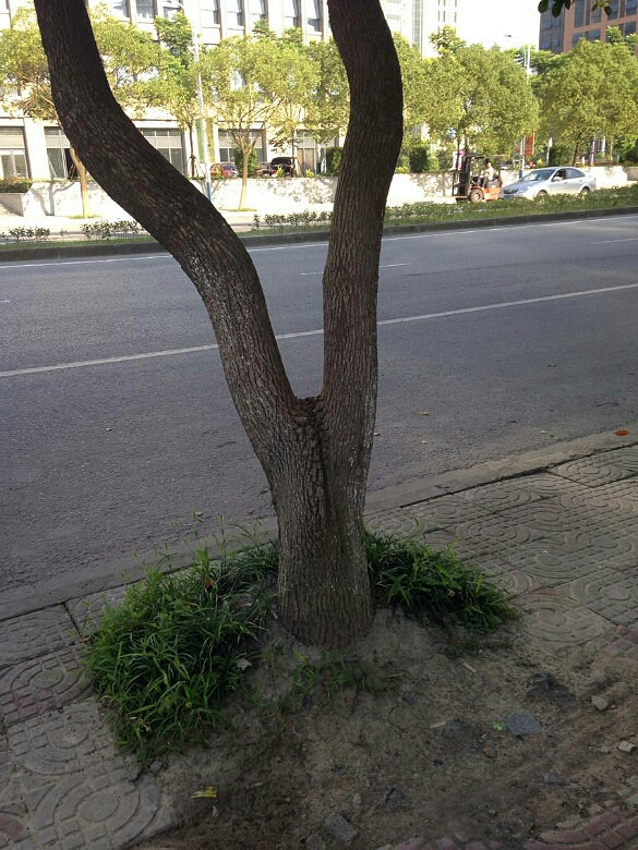 ��������úÿ�