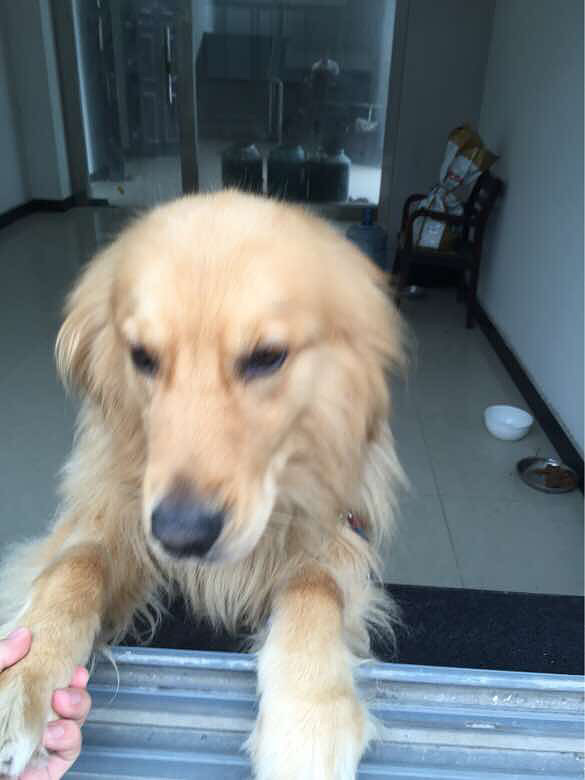 ����ð����