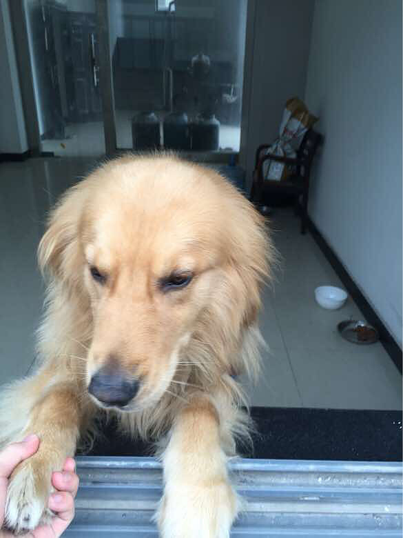 ����ð����