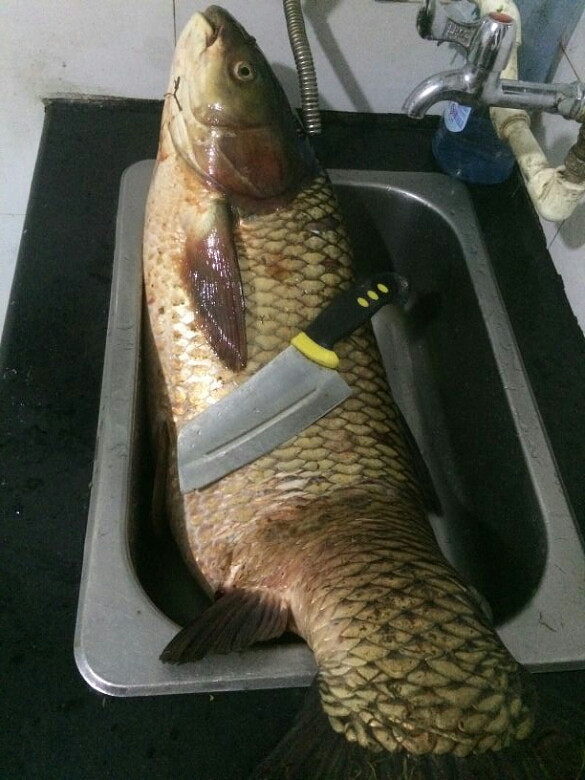 ��һ�¶��ٽ