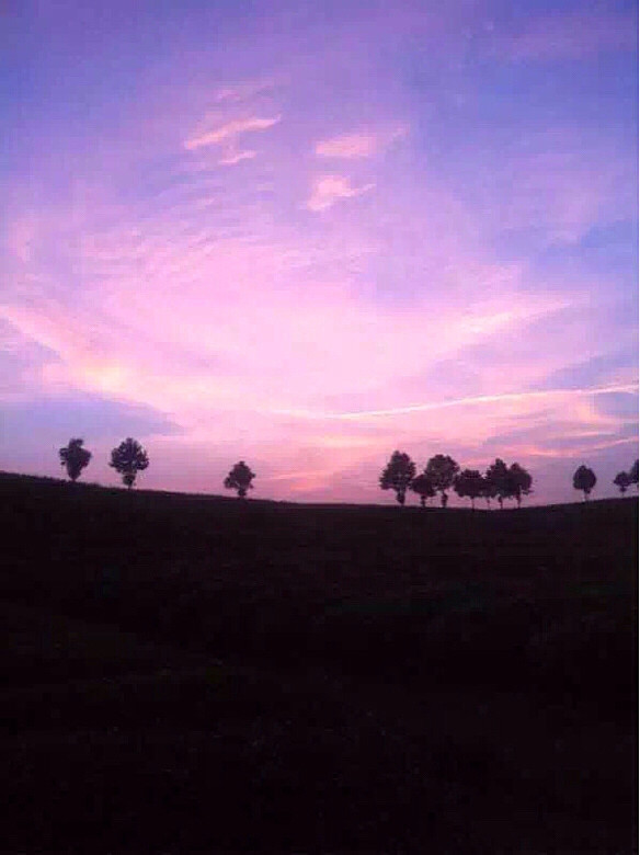 ���������ש���ڿ��ˣ���һ�ֹ�����˹