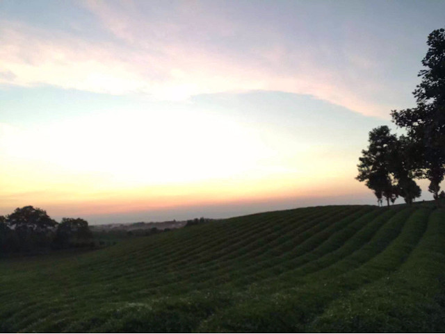 ���������ש���ڿ��ˣ���һ�ֹ�����˹