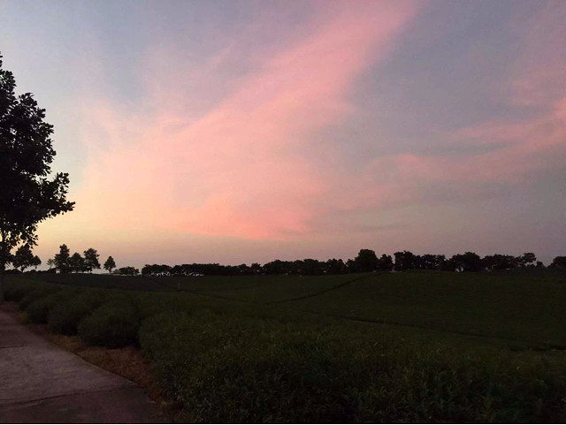 ���������ש���ڿ��ˣ���һ�ֹ�����˹