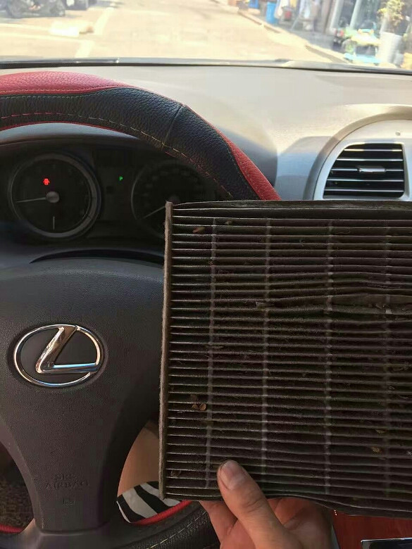 ϴϴ������