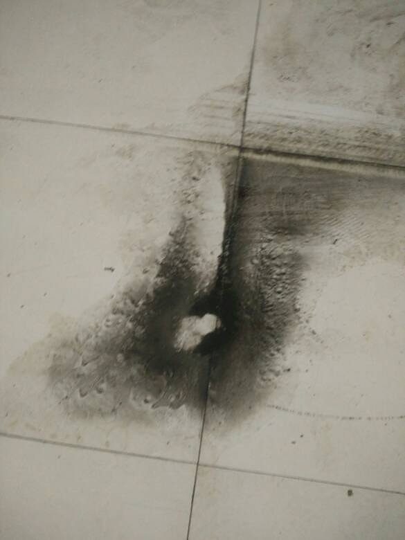 ϴϴ������