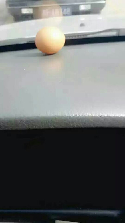 ���ڳ��ϵ�������